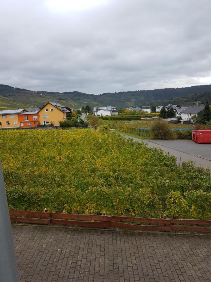 Ferienweinhaus Roemer-Knodt Kröv Exterior foto